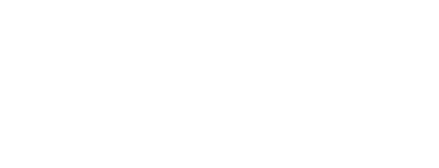 Social Parrot | Studio